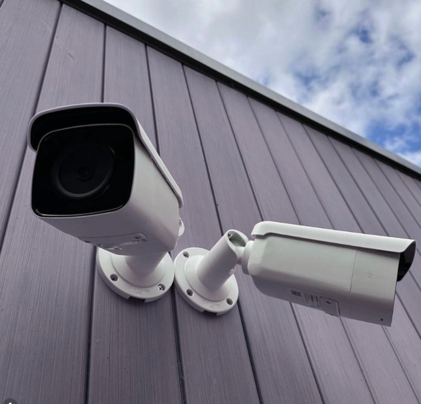 Mounted surveillance cameras